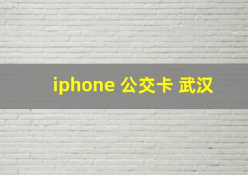 iphone 公交卡 武汉